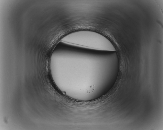 X0000100980023200806241159