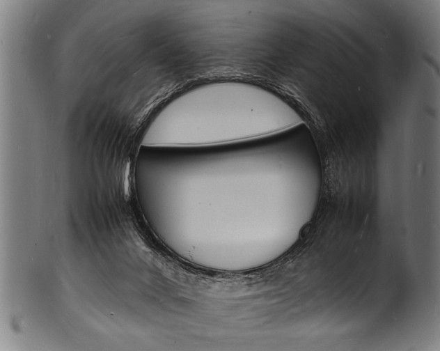 X0000100980024200806241159