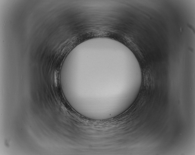 X0000100980026200806241159