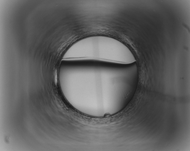 X0000100980027200806241159