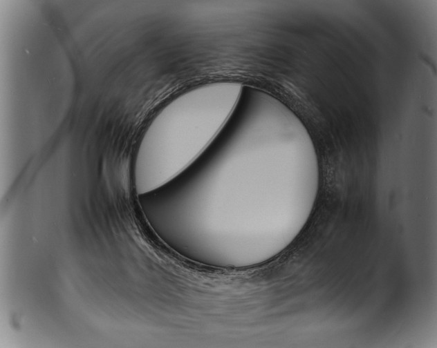X0000100980028200806241159