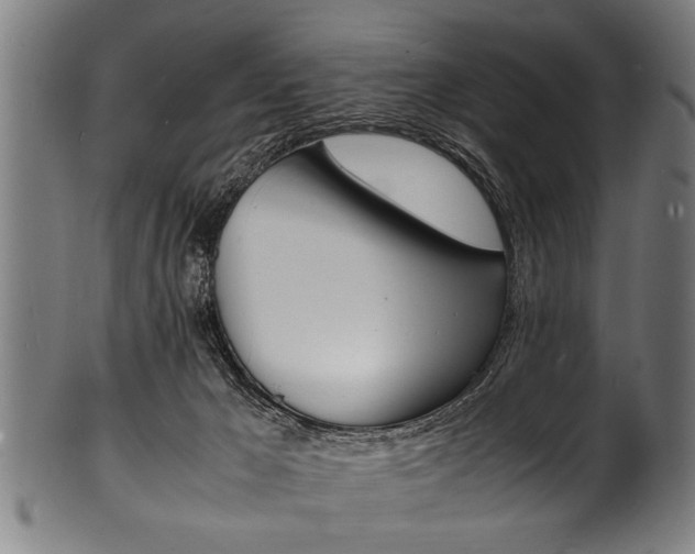 X0000100980029200806241158