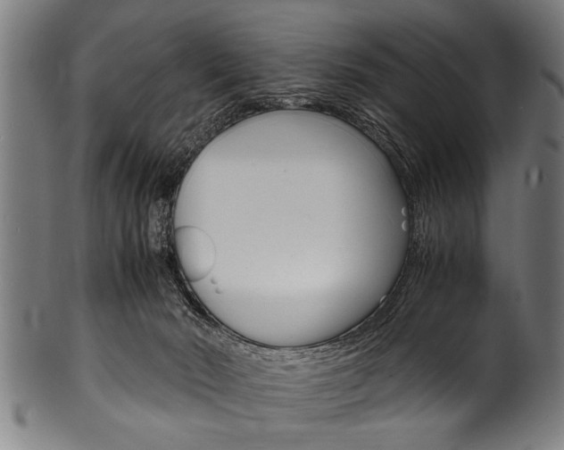 X0000100980030200806241158