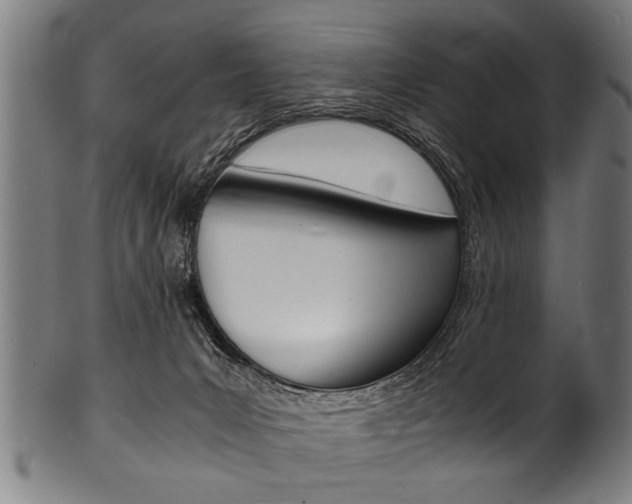 X0000100980031200806241158