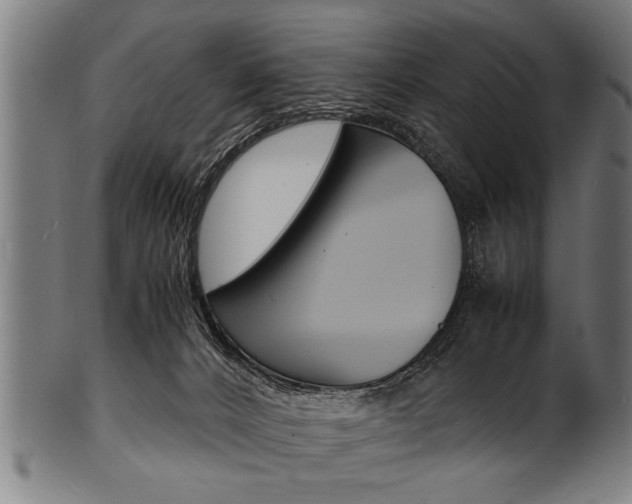 X0000100980032200806241158
