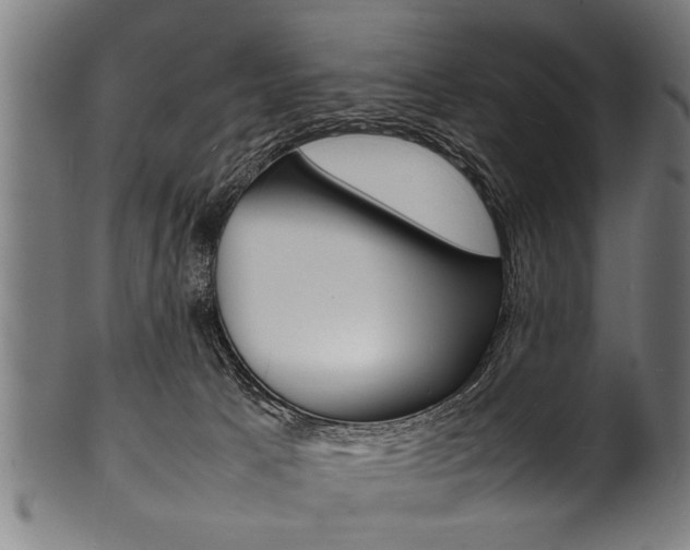 X0000100980033200806241158