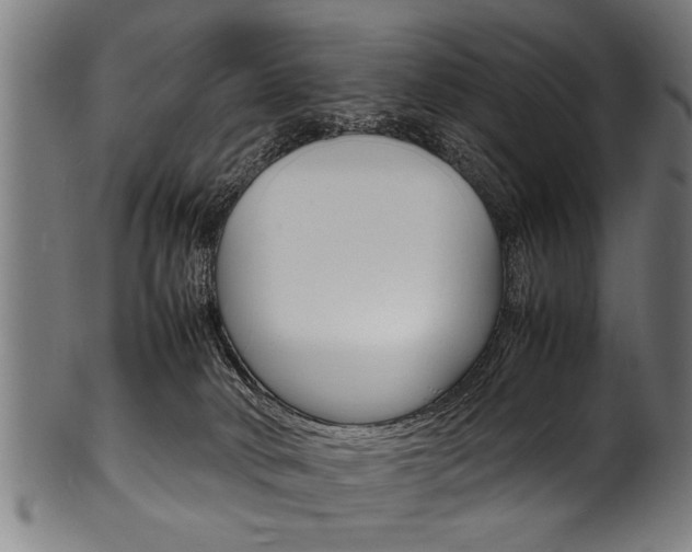 X0000100980034200806241158
