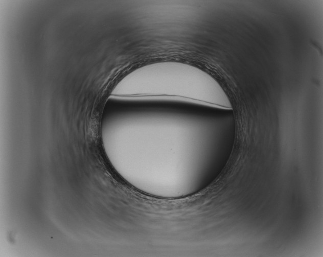 X0000100980035200806241158