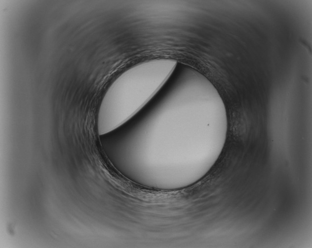 X0000100980036200806241158