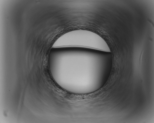 X0000100980037200806241158