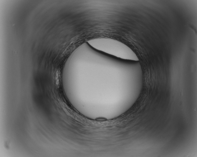 X0000100980038200806241158