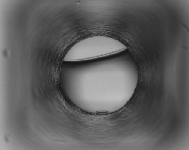 X0000100980040200806241158