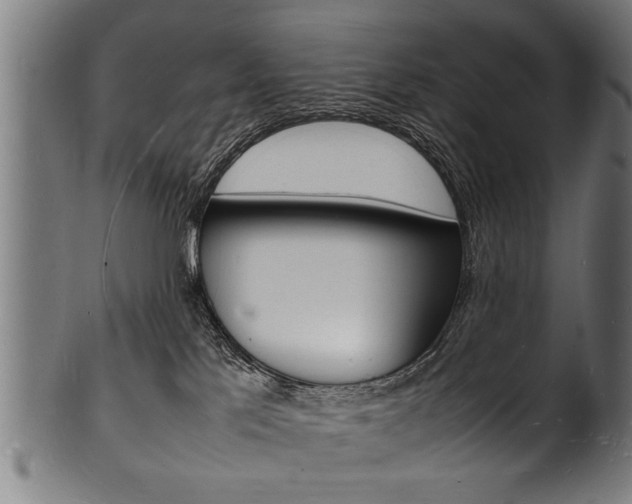X0000100980041200806241158