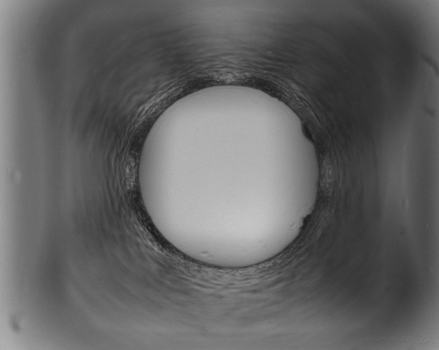 X0000100980043200806241158