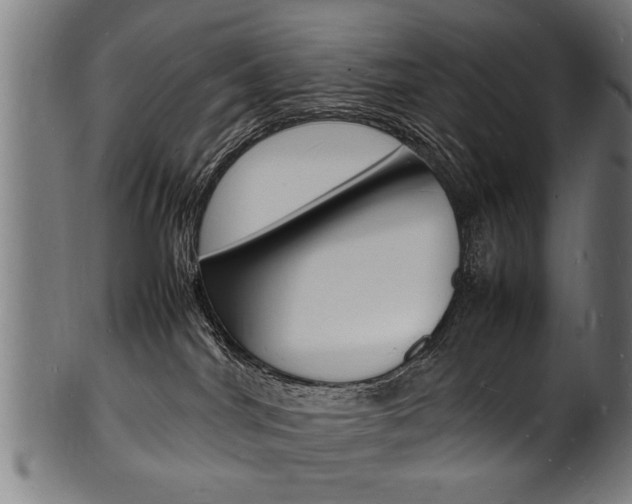 X0000100980044200806241158