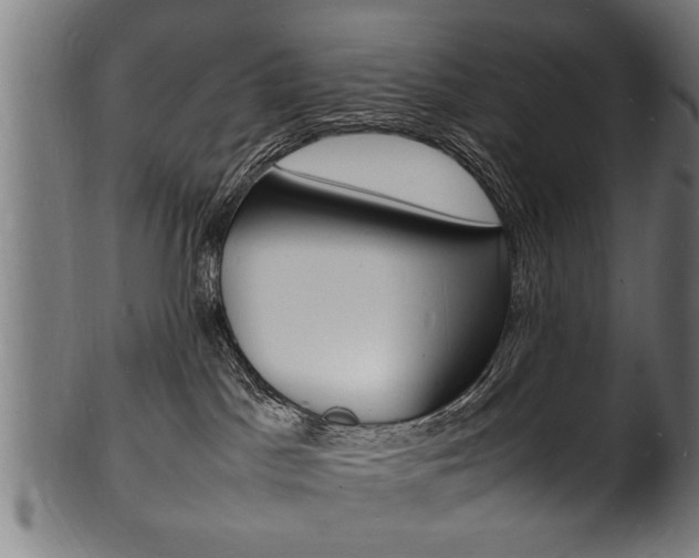 X0000100980045200806241158