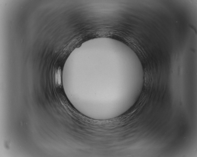 X0000100980046200806241158