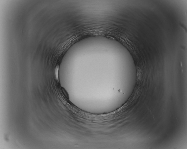 X0000100980047200806241158