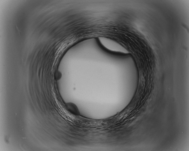 X0000100980049200806241158