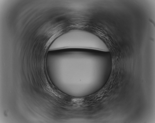 X0000100980051200806241158