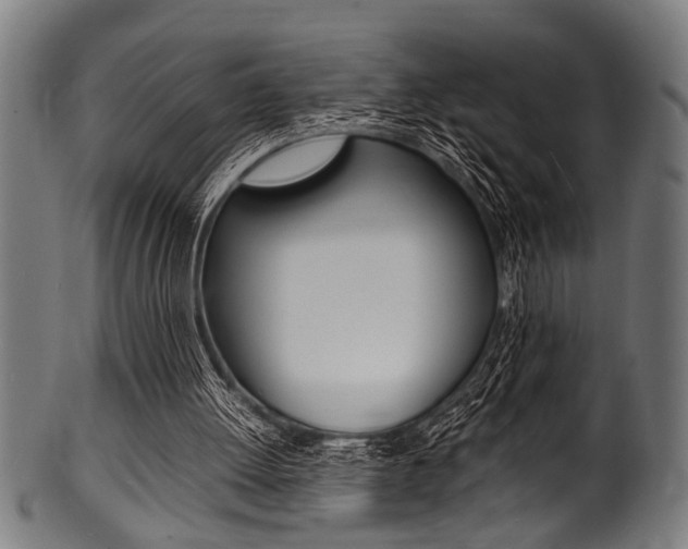 X0000100980052200806241158