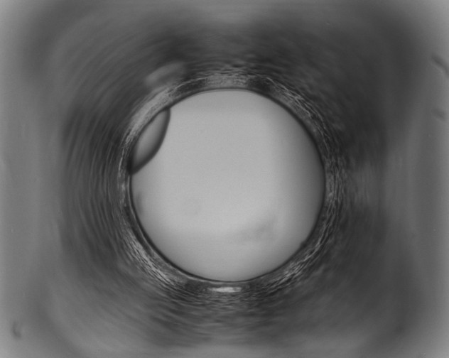 X0000100980053200806241158