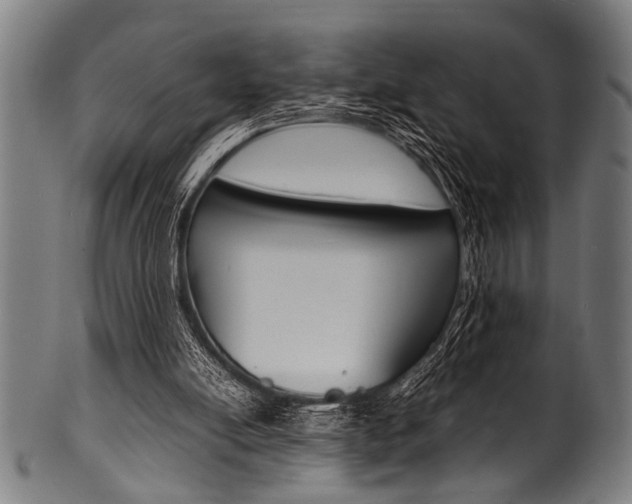 X0000100980054200806241158