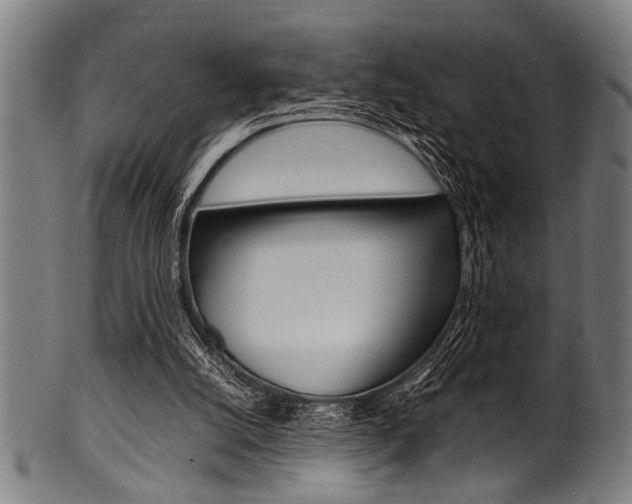 X0000100980056200806241158