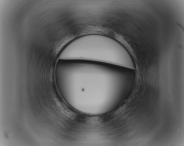 X0000100980058200806241158