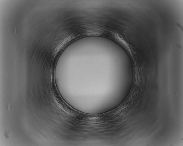 X0000100980059200806241158