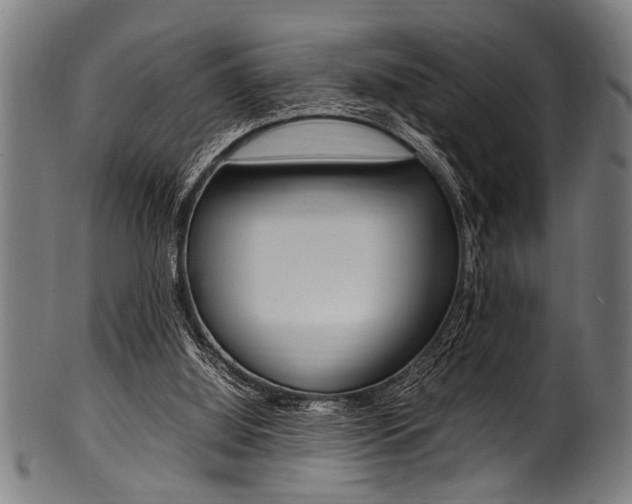 X0000100980060200806241158