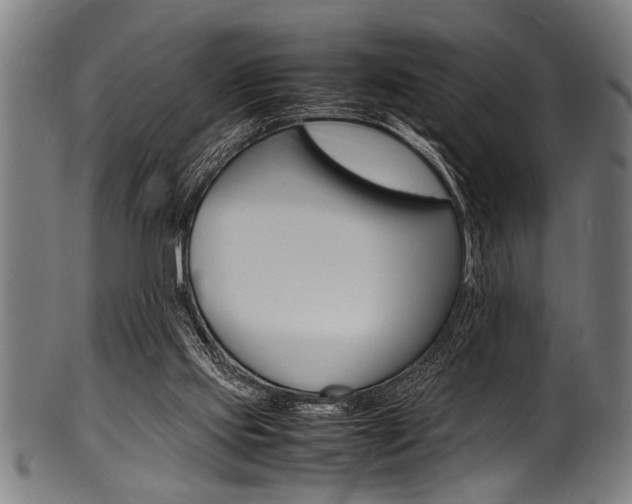 X0000100980061200806241158