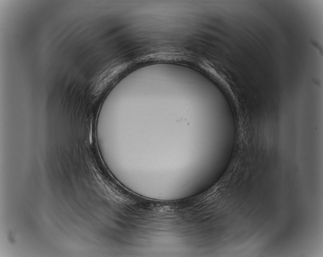 X0000100980062200806241158