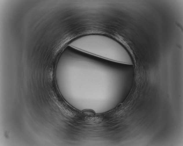 X0000100980063200806241158