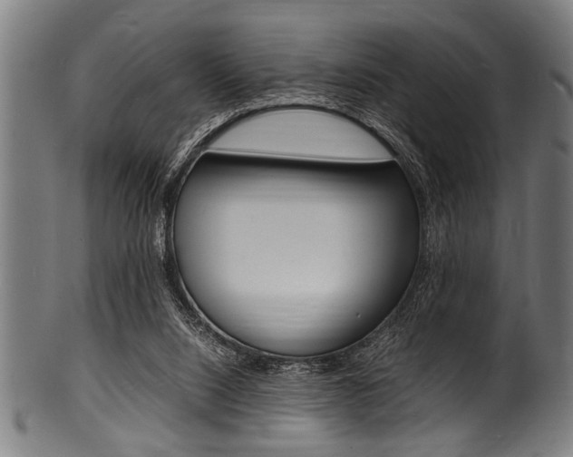 X0000100980064200806241158