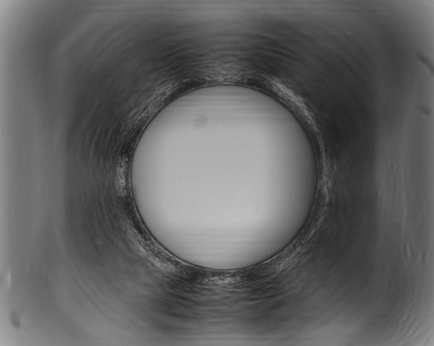 X0000100980065200806241158