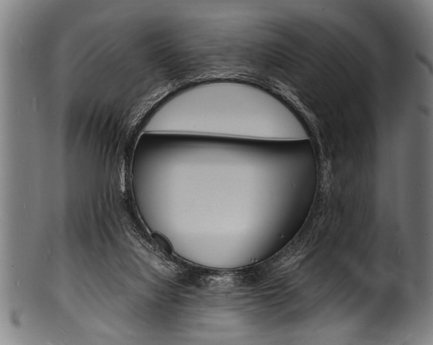 X0000100980068200806241158