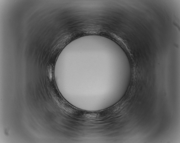 X0000100980069200806241158