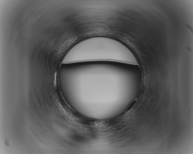 X0000100980070200806241158
