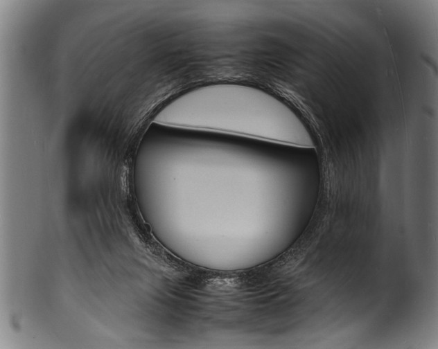 X0000100980071200806241158