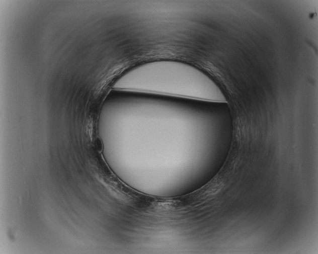 X0000100980072200806241158
