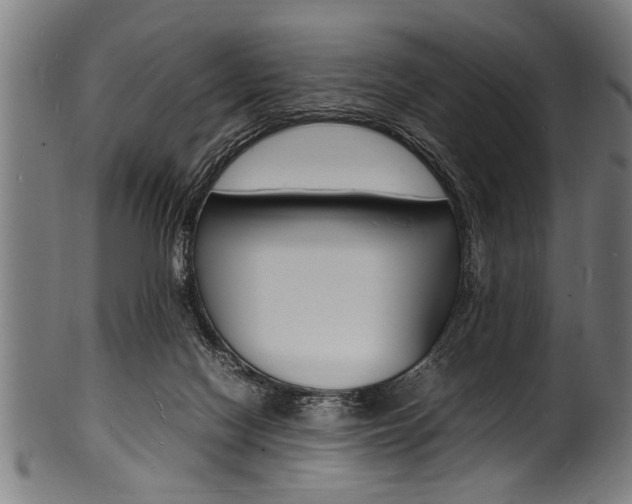 X0000100980074200806241158