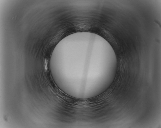 X0000100980075200806241158