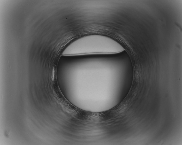 X0000100980076200806241158