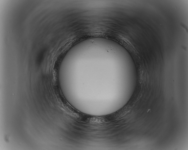 X0000100980077200806241158