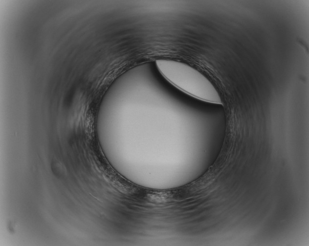 X0000100980079200806241158
