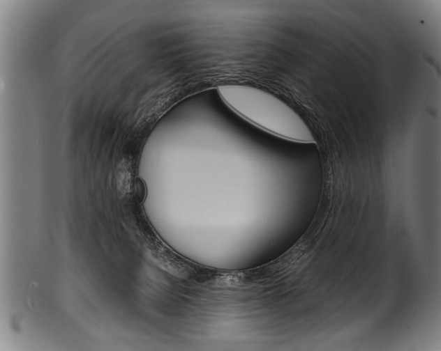 X0000100980080200806241158
