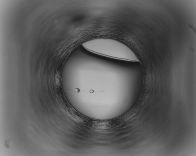 X0000100980081200806241158