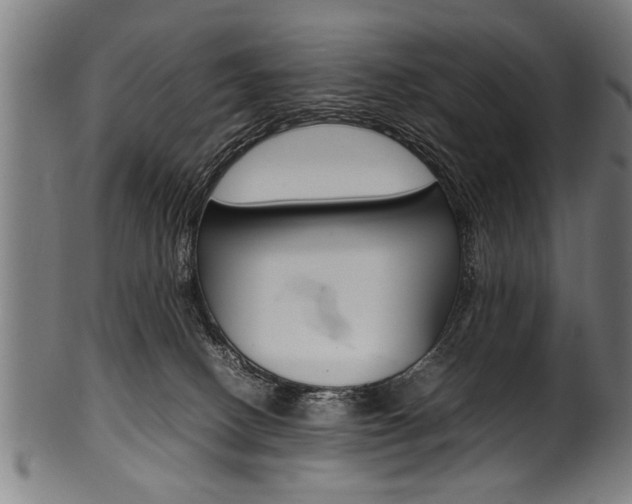 X0000100980082200806241158