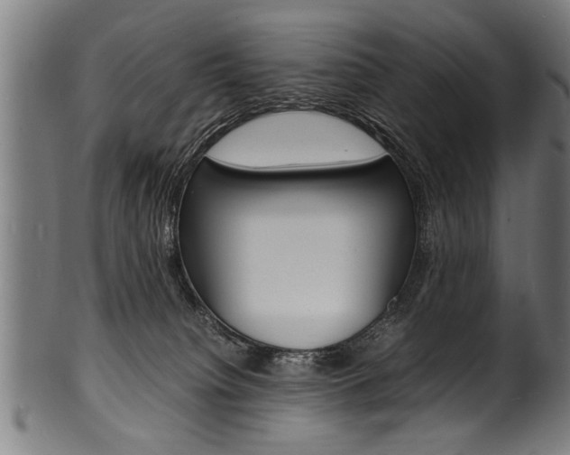 X0000100980084200806241158